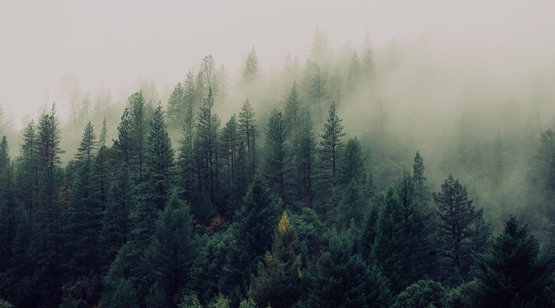 Bonjour tout le monde&nbsp;!